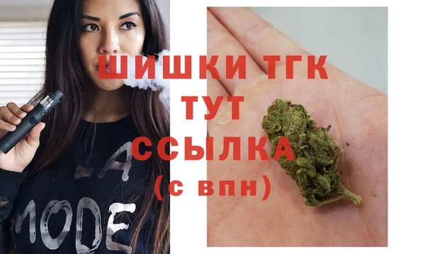 твердый Алексин